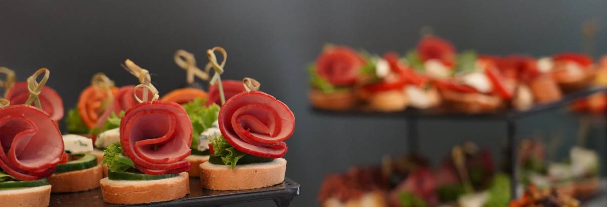 Todo lo que necesitas